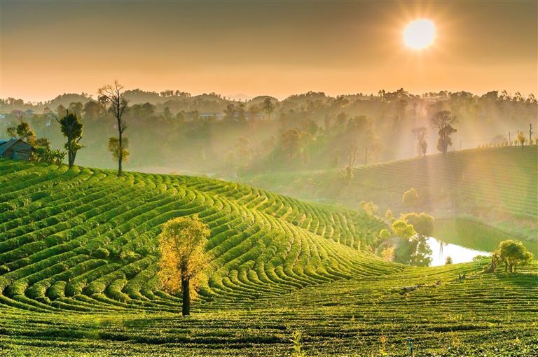 Kulturreichtum & Traumlandschaften ©primeimages/istock